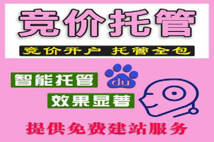 搜索开户返点揭秘：成功案例教你赚钱